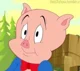 Porky Pig