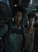 Minho - Maze Runner