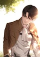 AOT- Levi Ackerman 