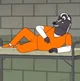 Skunk Prisoner