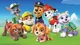 Paw Patrol Team