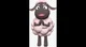 Wooly The Sheep