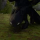Toothless-1