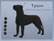 Tyson