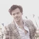 harry styles