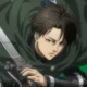 Levi Ackerman 