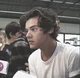 harry styles