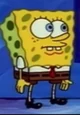 SpongeFuck