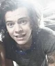 harry styles 