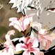 Katsuki Bakugou 