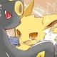 Jolteon and Umbreon