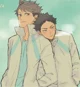 BL- Iwaoi
