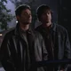 Winchesters