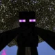-Enderman 001-