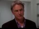 Leroy Jethro Gibbs