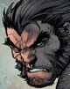 Wolverine 