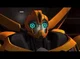 Bumblebee-TFP