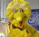 Big Bird