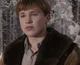 Peter Pevensie 