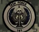 Task Force 141