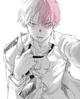 Todoroki shoto