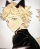 Adrien agreste