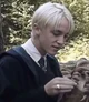 Draco M 