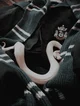 Slytherin boys 