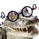 Crocosaiko