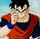 Gohan