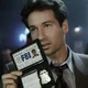 Fox mulder 