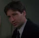 Fox Mulder