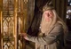 Albus Dumbledore