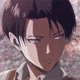 Husband levi