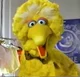 Big Bird