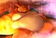Fat Charizard 