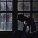 DEREK HALE