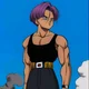 Trunks -Future-