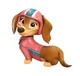 Liberty paw patrol 