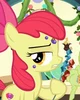 Apple Bloom 