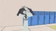 FPE Infection AU