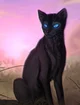 Crowfeather