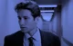 Fox mulder