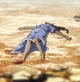 Midler