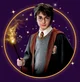 - Harry Potter -