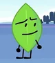 Leafy - BFB