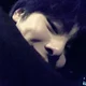 Yang Jeongin