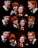 Weasleys