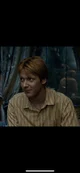 Fred Weasley