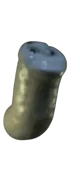 Worm Thomas 